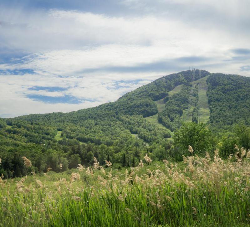 Condo Hotel Au Pied Du Mont Orford Rom bilde